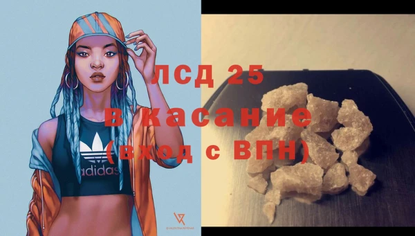 ГАЛЛЮЦИНОГЕННЫЕ ГРИБЫ Алзамай