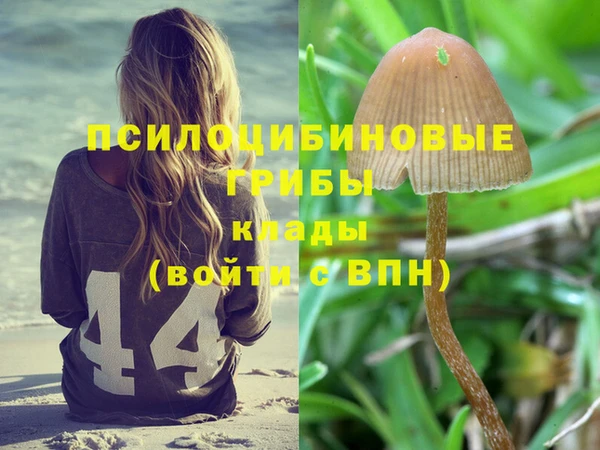 ГАЛЛЮЦИНОГЕННЫЕ ГРИБЫ Алзамай