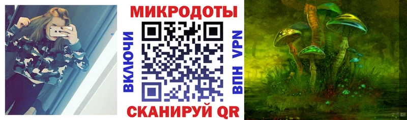 ссылка на мегу tor  Калач  Псилоцибиновые грибы GOLDEN TEACHER  цена наркотик 